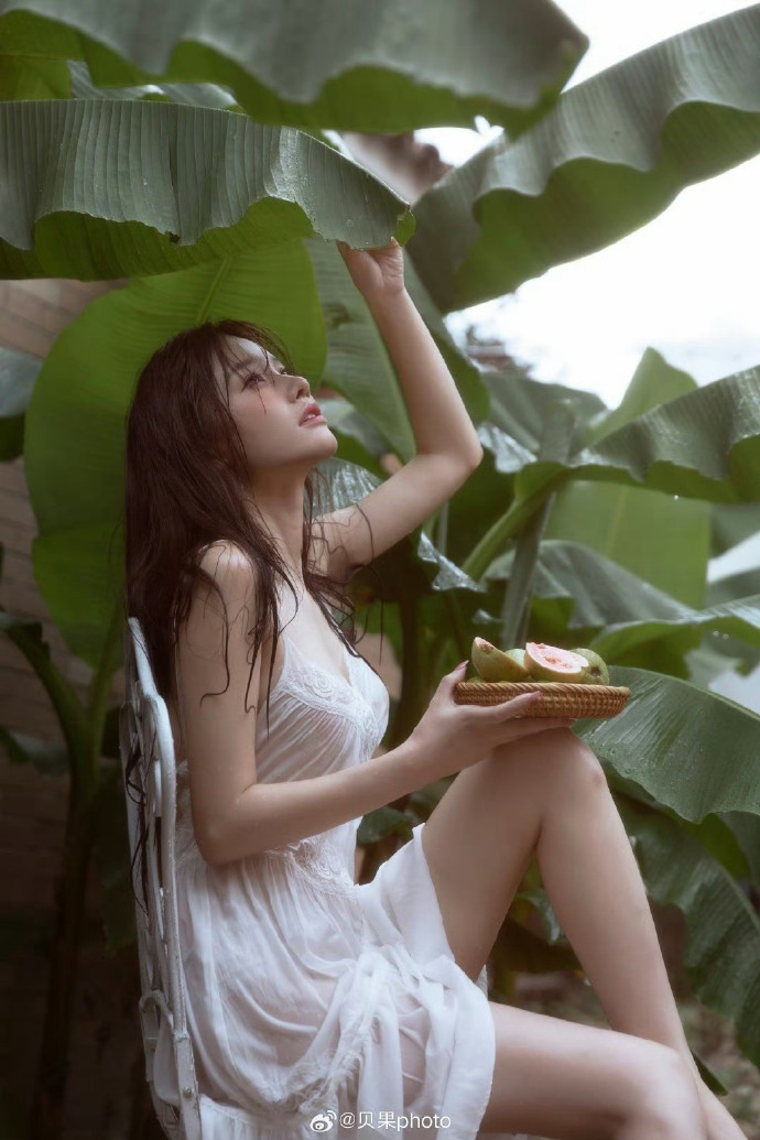 灯草故事结局分析