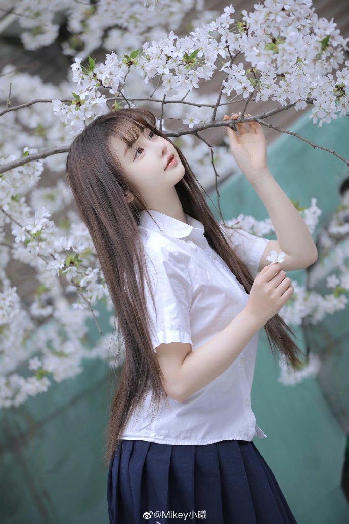 台湾的原始森林