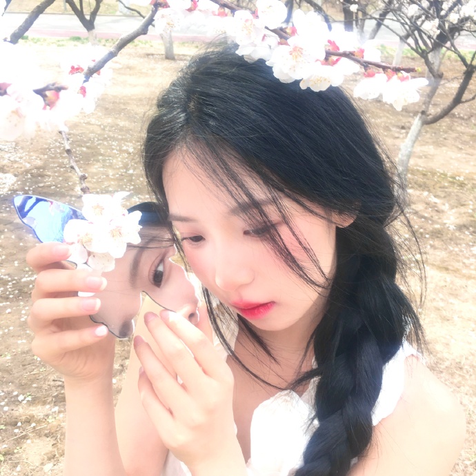 美国版牡丹花下